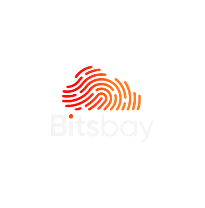 Bitsbay - Custom Software & Amazon Growth Agency